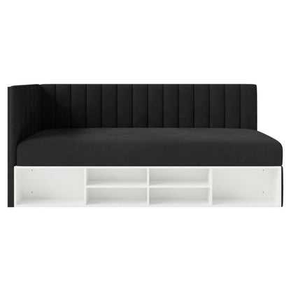 PIANO 17